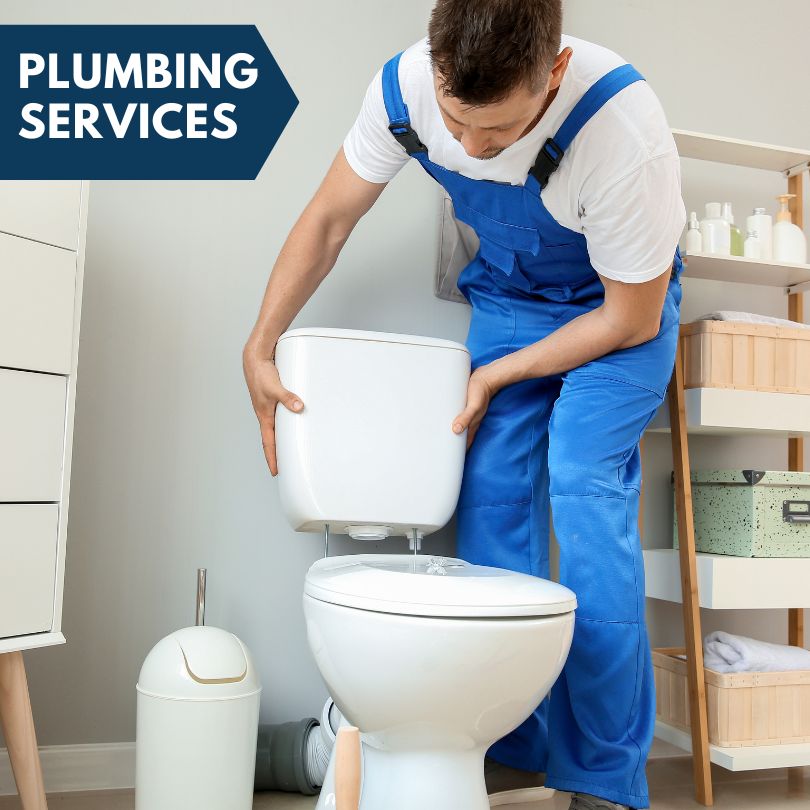 Plumbing Company in Mass City, MI
